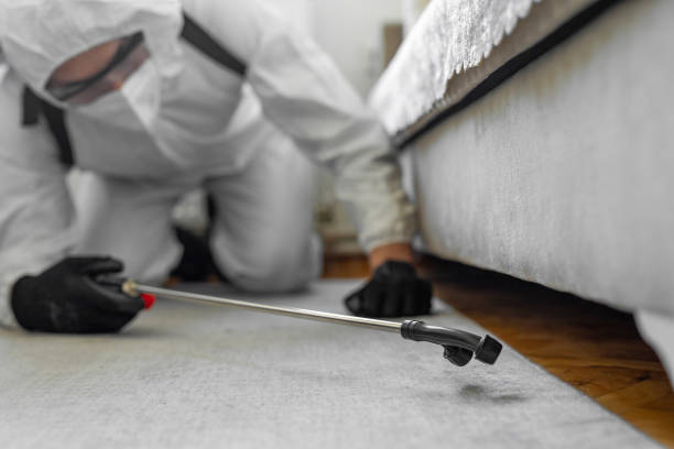 Professional Cockroach Control technician working in Southwood Acres, CT