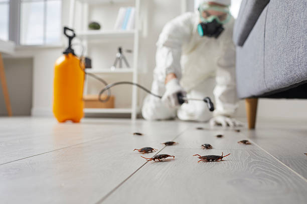 Trusted Cockroach Control service in Southwood Acres, CT - Nex Pest Control