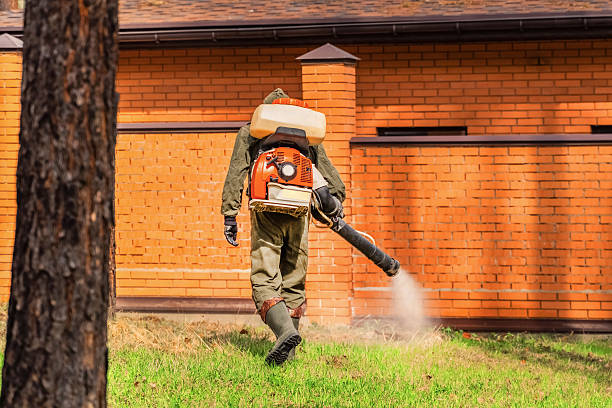 Trusted Termite Control service in Southwood Acres, CT - Nex Pest Control